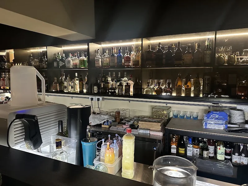 Space Time Bistro&Bar | 東區貓咪餐酒館｜東區貓咪酒吧