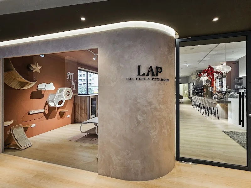 徠寵 LAP Cat Bar & Restaurant ｜品種貓找家長｜貓咪住宿｜貓咪選品｜犬貓美容