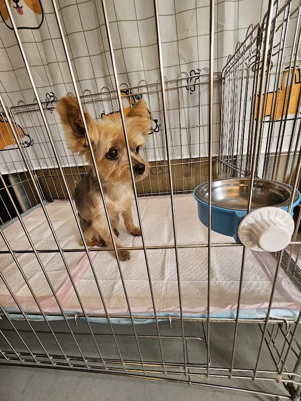 幸福寵物用品社