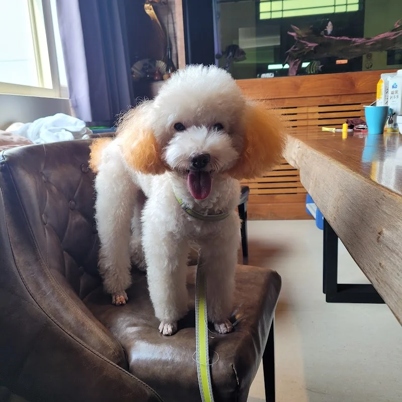 幸福寵物用品社