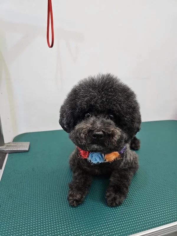 幸福寵物用品社