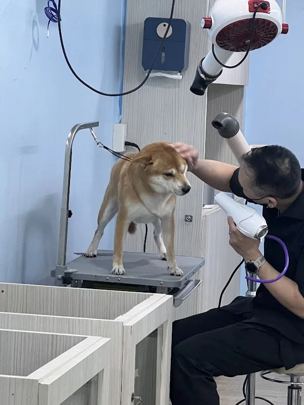 角落毛球寵物沐浴生活館