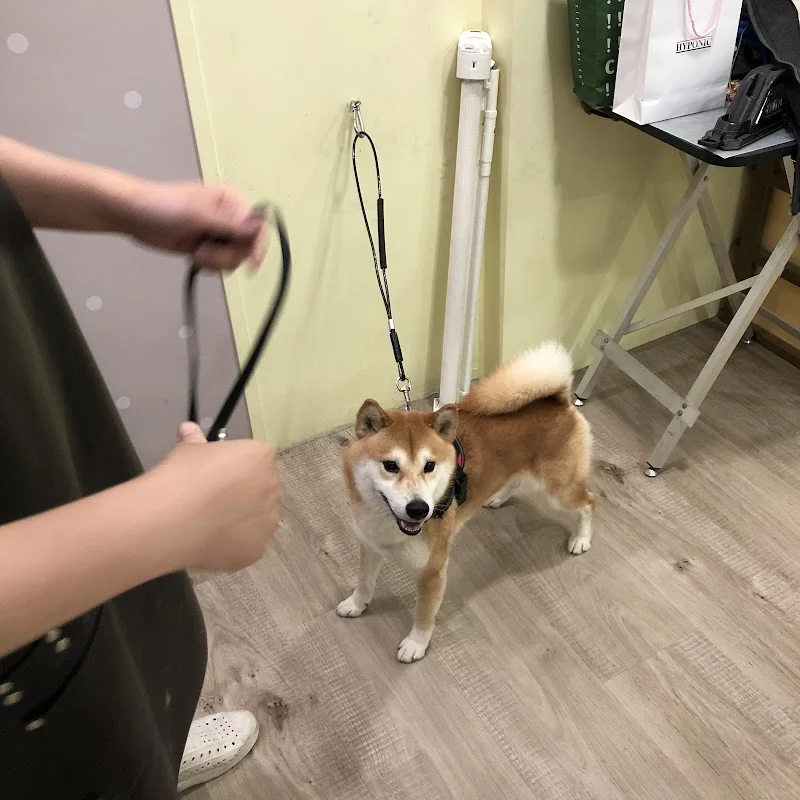 角落毛球寵物沐浴生活館