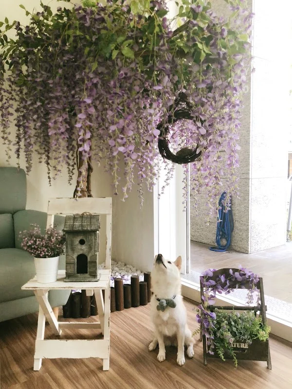 角落毛球寵物沐浴生活館