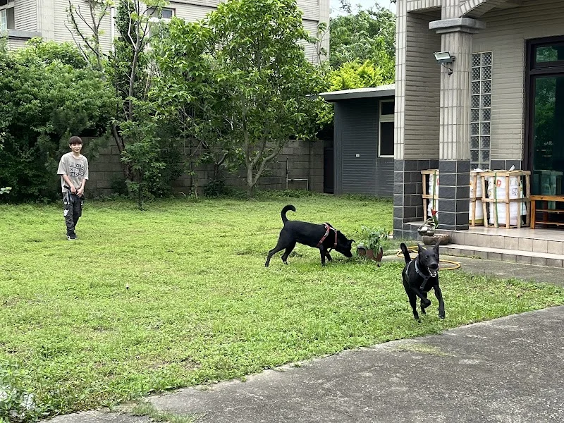 帕妃寵物用品社