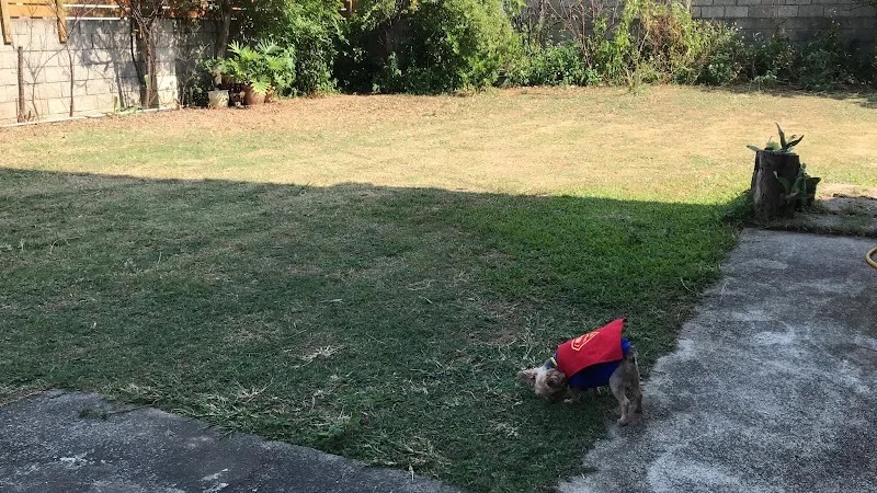 帕妃寵物用品社