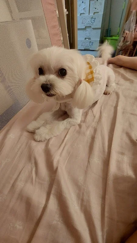 阿布幾寵物沙龍