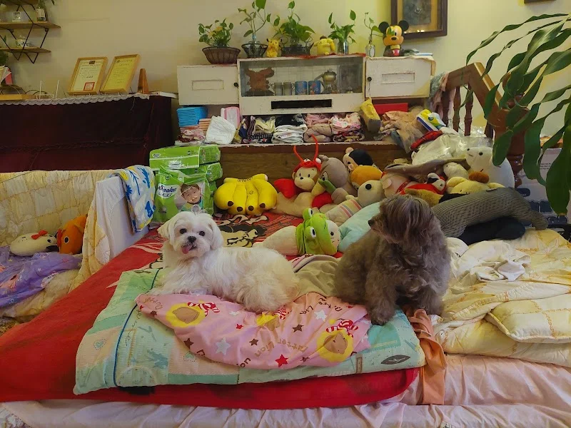 植寧寵物芳療美容作坊