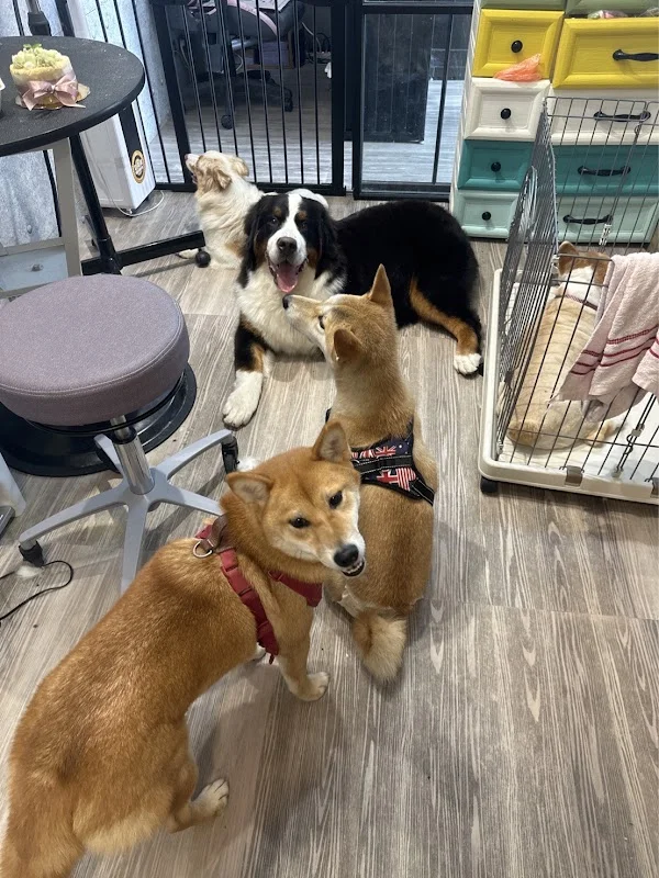 毛毛之家寵物沙龍