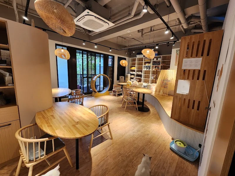 喵喵有約有限公司