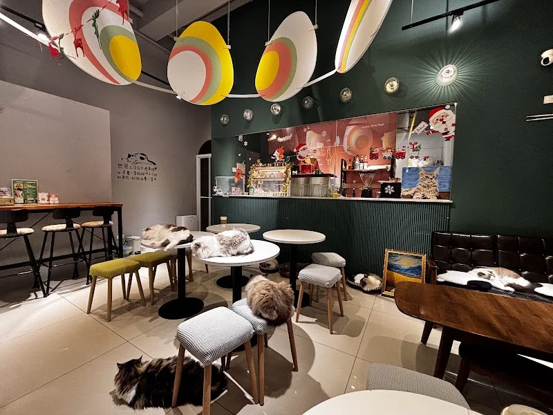 喵喵有約有限公司