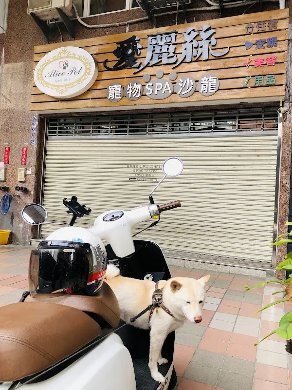 愛麗絲寵物生活館