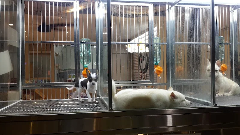 狗爸的狗窩寵物會館