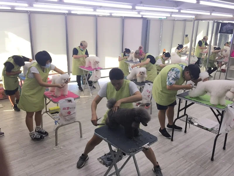 華馨寵物美學館(貓)