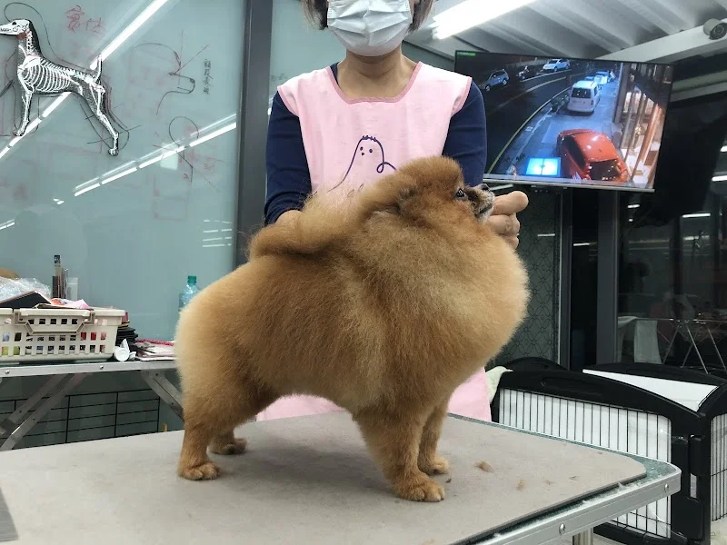 華馨寵物美學館(貓)