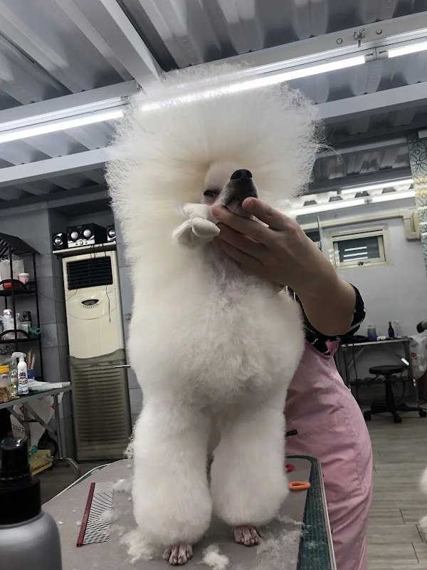 華馨寵物美學館(貓)