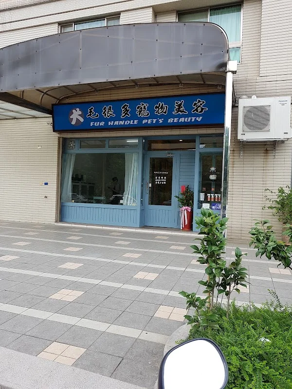 毛很多寵物店