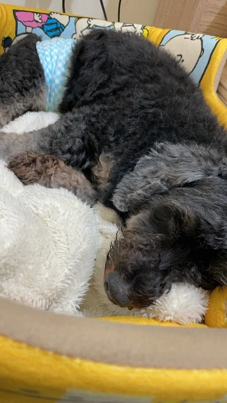 貓朋狗友寵物生活館