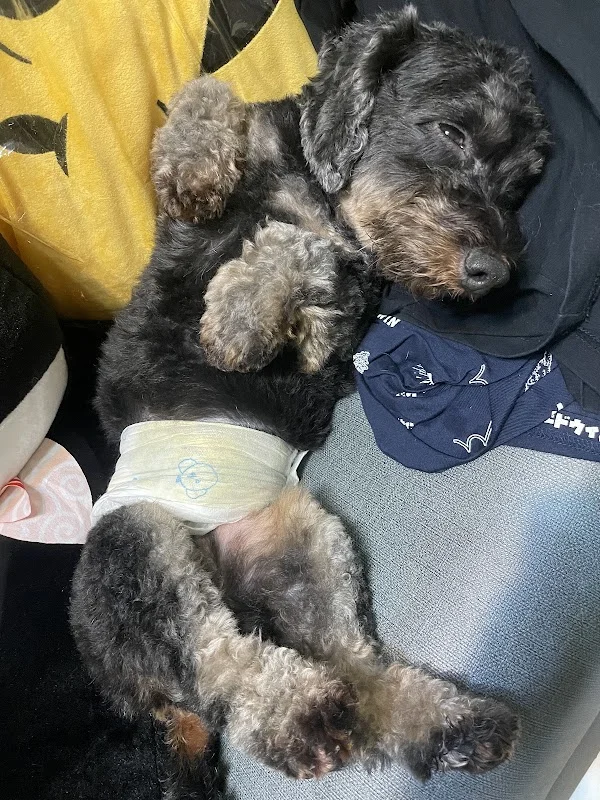 貓朋狗友寵物生活館