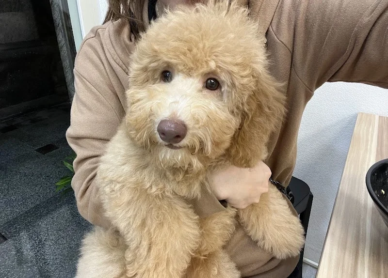 貓朋狗友寵物生活館