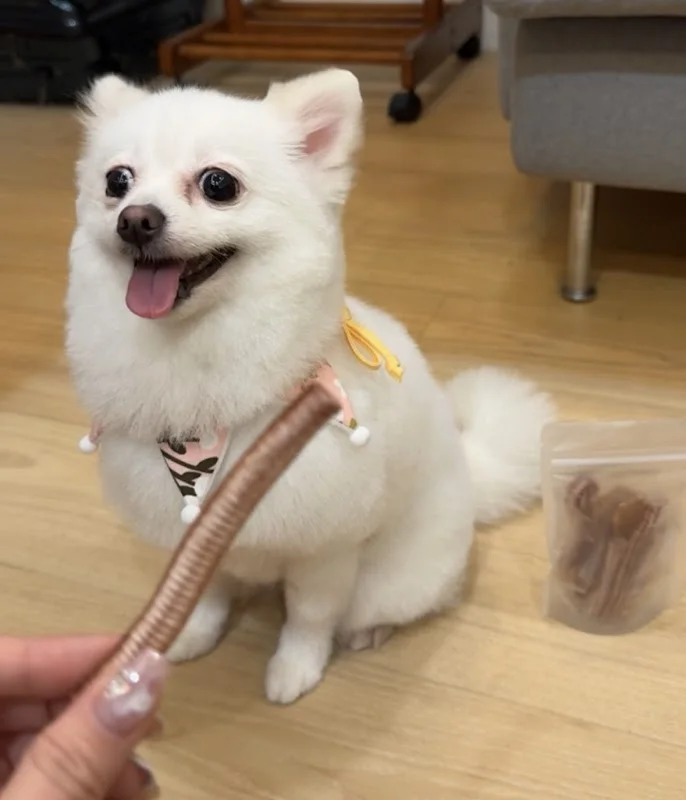 貓朋狗友寵物生活館