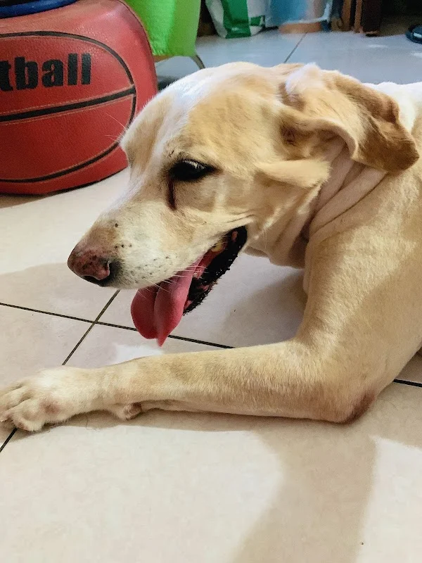 美寶雅水族寵物有限公司