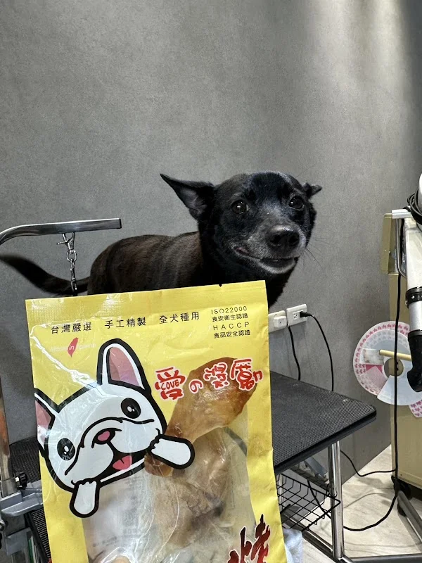 聚寀寵物用品行