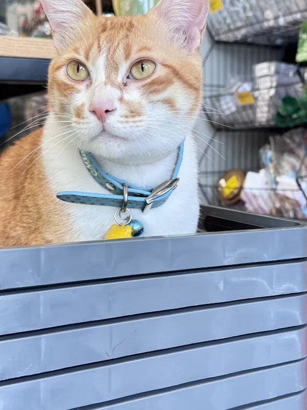 聚寀寵物用品行