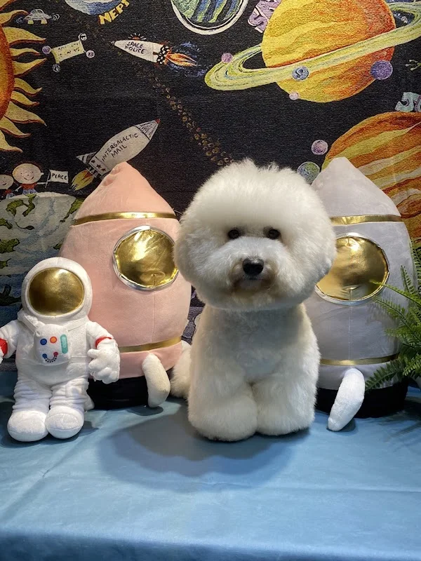 沃夫寵物生活館