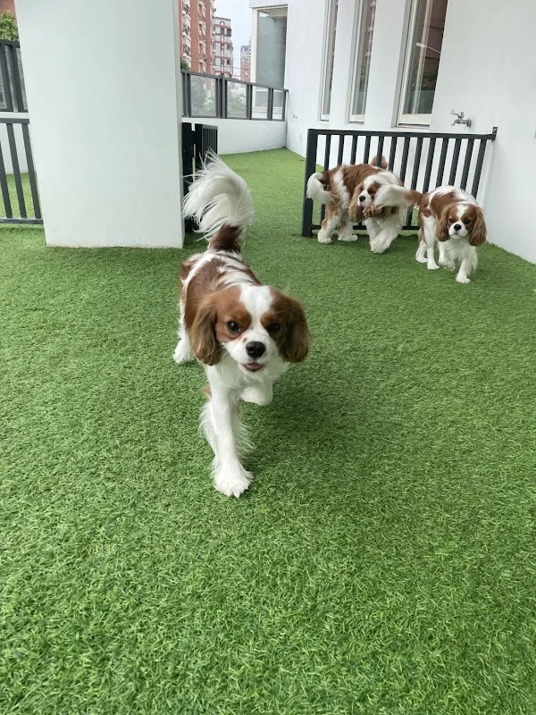 沃夫寵物生活館