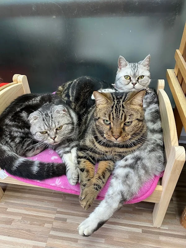 幸福時光寵物生活館