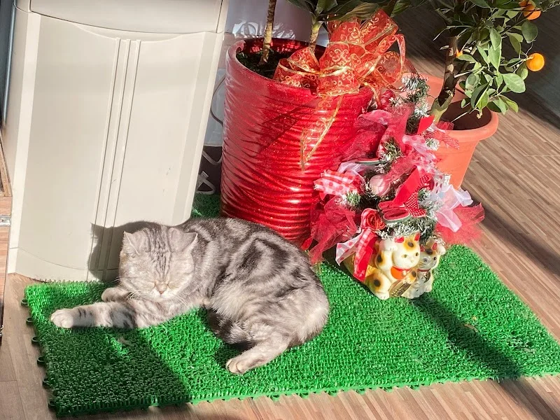 幸福時光寵物生活館