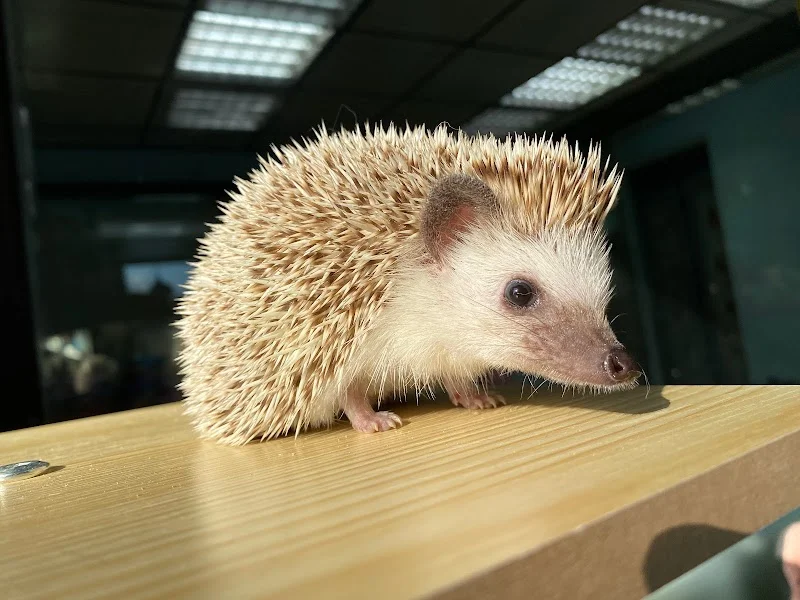 幸福時光寵物生活館