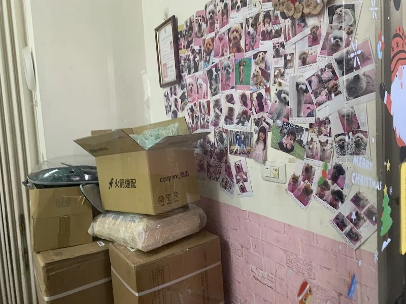 天吉寵物有限公司