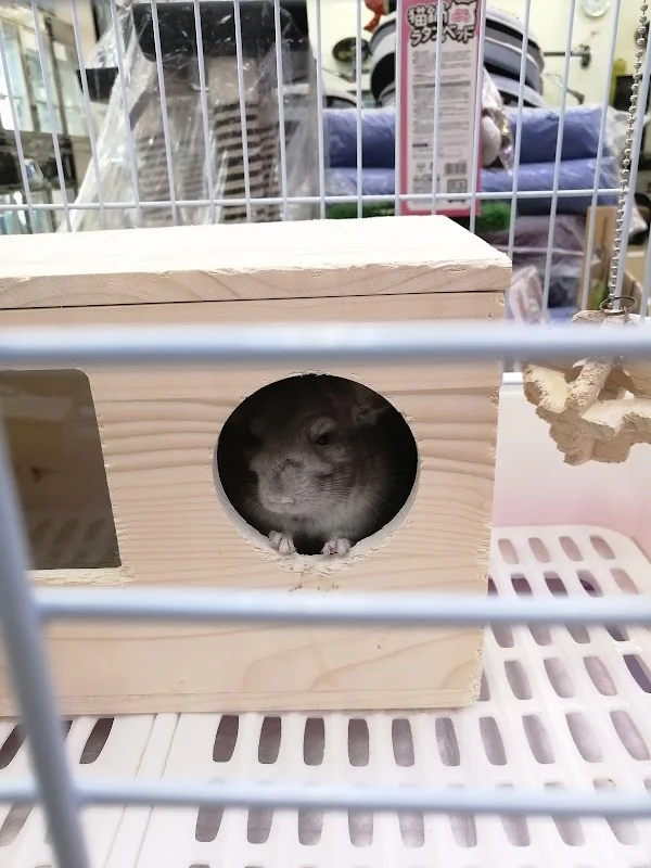 奧斯卡寵物股份有限公司西屯分公司