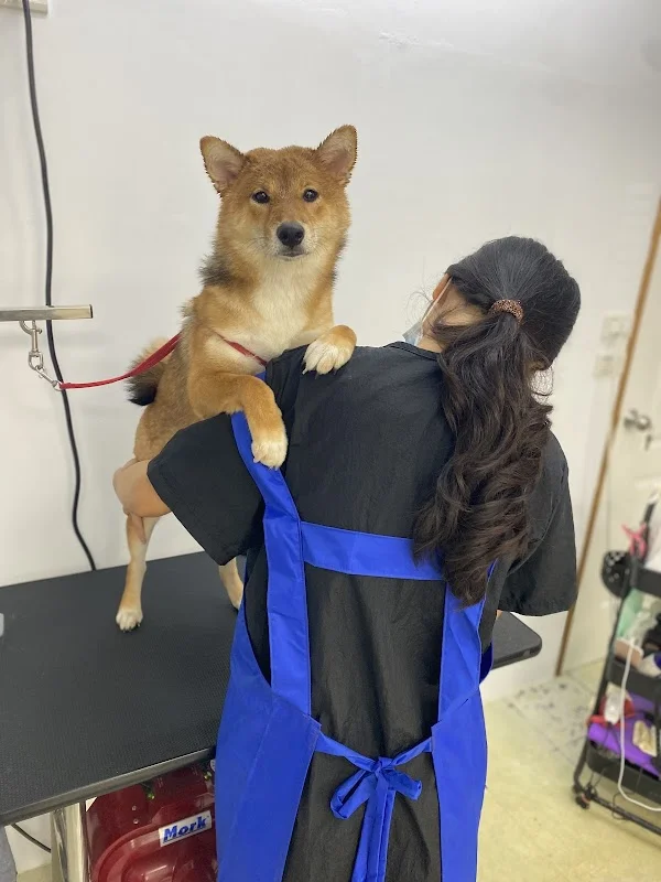 什嘴狗貓寵物店