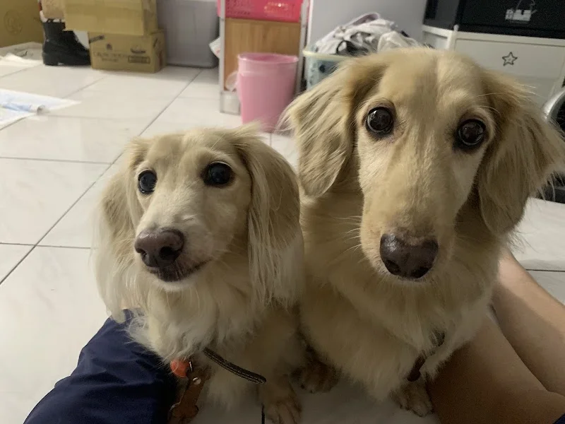 芃芃寵物生活館