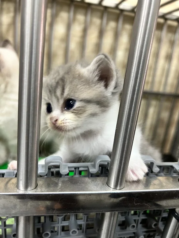 貓妮一犬寵物會館