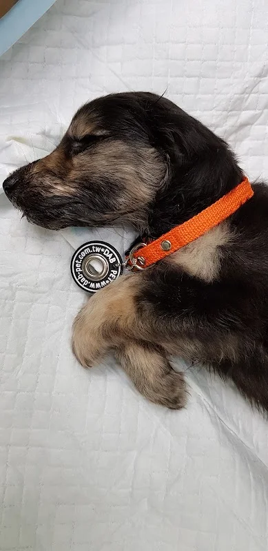 台灣寵物世界股份有限公司台南分公司