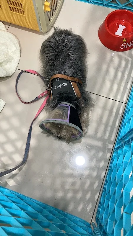 台灣寵物世界股份有限公司台南分公司