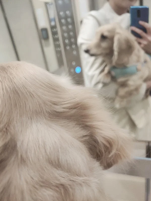 寵窩寵物生活館