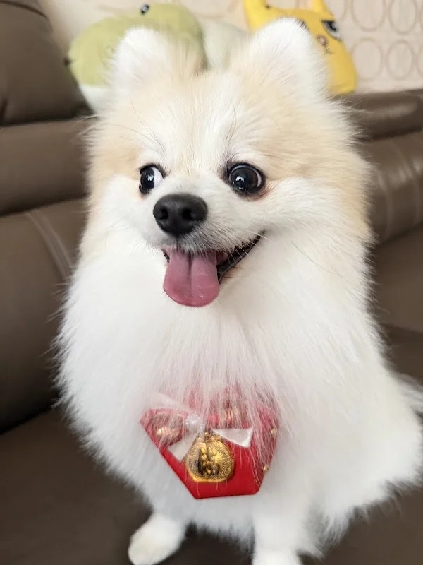 寵窩寵物生活館