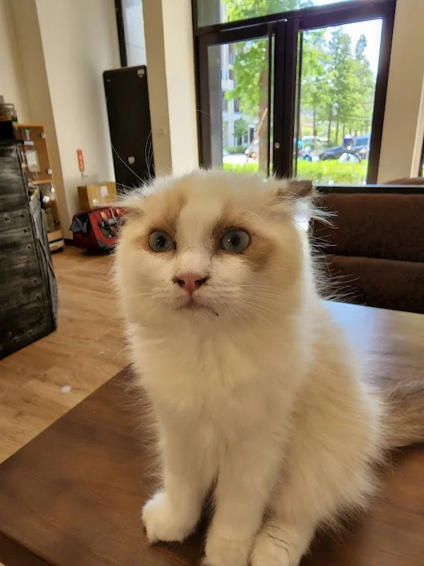 皇冠園寵物生活館