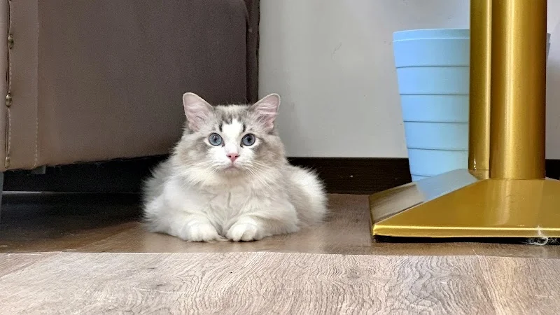 皇冠園寵物生活館