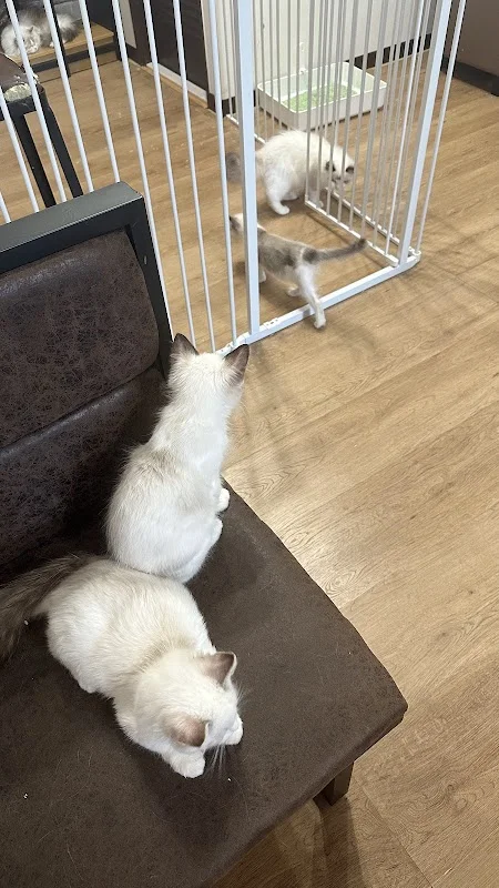 皇冠園寵物生活館