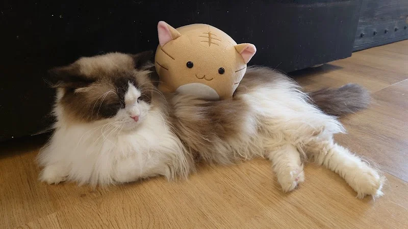 皇冠園寵物生活館