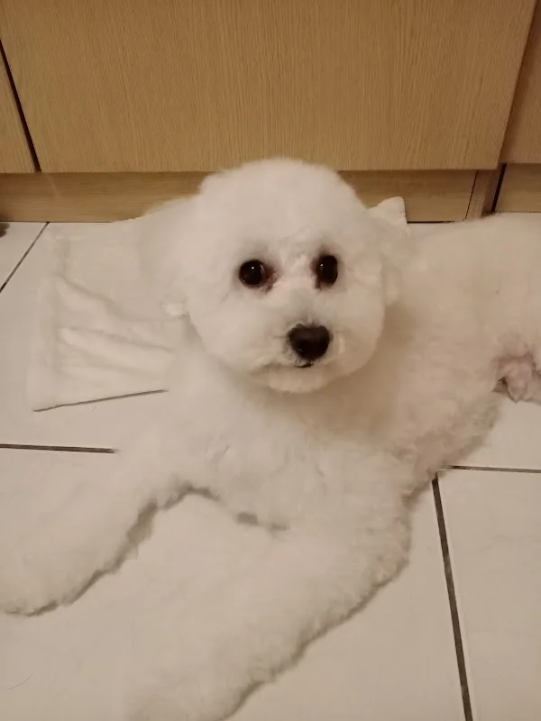 九號行星寵物系生活館