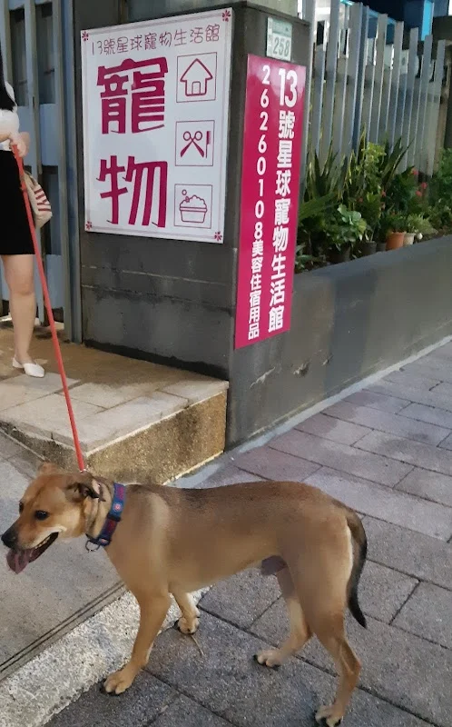 九號行星寵物系生活館