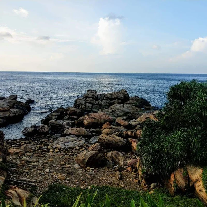 瑞扶祥有限公司