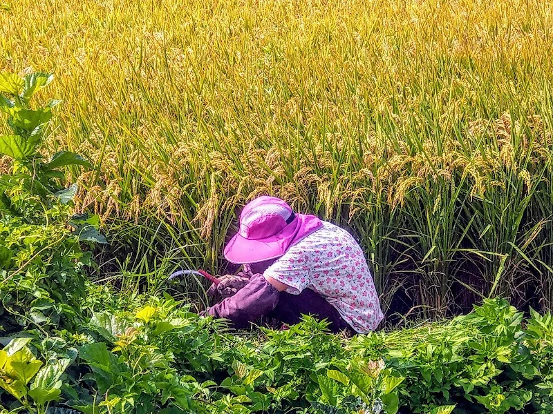 瑞扶祥有限公司